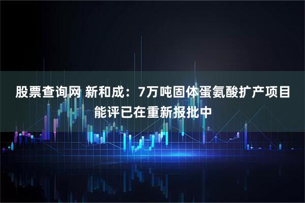 股票查询网 新和成：7万吨固体蛋氨酸扩产项目能评已在重新报批中