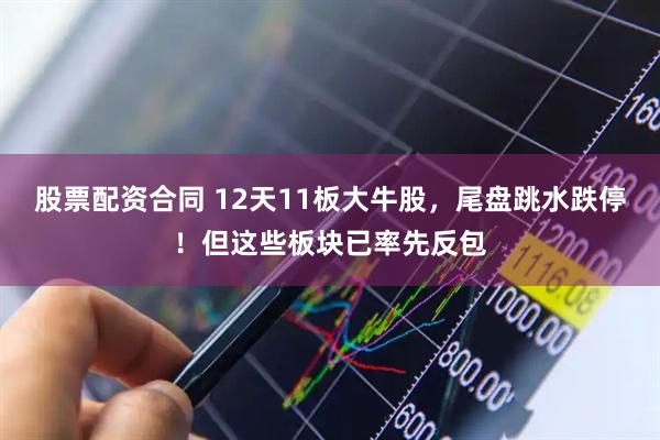 股票配资合同 12天11板大牛股，尾盘跳水跌停！但这些板块已率先反包