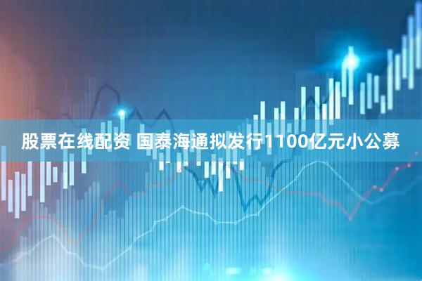 股票在线配资 国泰海通拟发行1100亿元小公募